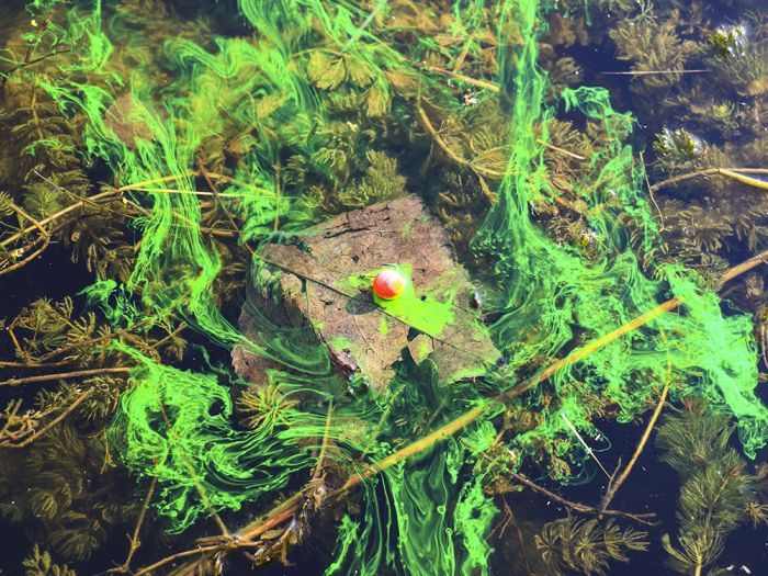 3d pop Pop Up de carlig CPK 3D Range 10/14mm - imagine 5